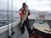Ein Angler in einer rot-blauen Jacke hält einen großen Dorsch auf einem Boot im offenen Meer.