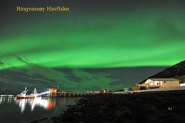 Nord-Norwegen bei Nacht: Majestätisches Nordlicht über einem malerischen Hafen. Schimmerndes Wasser, traditionelle Gebäude und ein beleuchtetes Boot schaffen eine atemberaubende Kulisse für unvergessliche Angelabenteuer. Ideal für Angelliebhaber und Naturliebhaber.