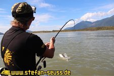 Eine Person angelt in einem Fluss mit einem hüpfenden Fisch an der Angel unter blauem Himmel und herrlichem Bergpanorama.