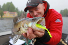Ein Angler im roten Pullover hält stolz einen Zander mit einem neonfarbenen Gummiköder im Maul in die Kamera.