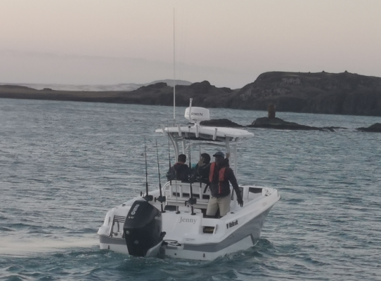 Angeltour in São Vicente, Kapverden: Ein Boot mit Anglern fährt bei ruhigem Meer und felsiger Küstenlinie in die Dämmerung. Ideal für einen unvergesslichen Angelurlaub.