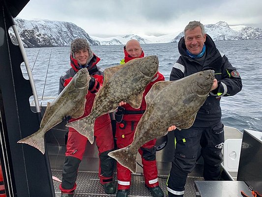 Drei Angler halten große Heilbutts auf einem Boot vor schneebedeckten Bergen und dem Meer in Nord-Norwegen. Perfekter Angelurlaub für begeisterte Meeresangler in atemberaubender Landschaft. Petri Heil!