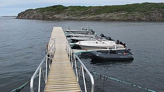Ein Holzsteg führt zu mehreren Booten auf ruhigem Nordmeerwasser in Nord-Norwegen, umgeben von felsiger Küste und dichtem Grün – ideal für Angelreisen und maritime Abenteuer in einer atemberaubenden, unberührten Naturkulisse.