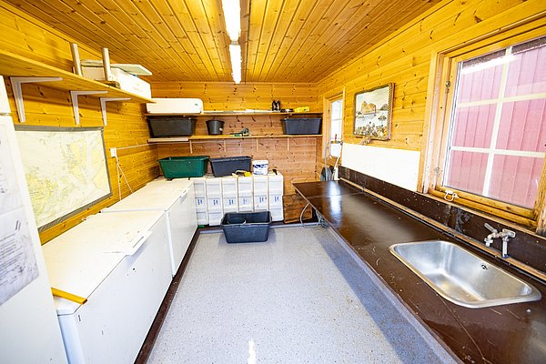 Heller Raum in Nordland, Norwegen: Holzverkleidung, Arbeitsfläche mit Spüle, Regale mit Boxen, Ideal für Angelvorbereitung. Perfekt für Angler, die ihre Ausrüstung in gemütlicher Umgebung organisieren möchten. Entdecke unvergessliche Angelabenteuer!