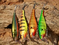 Vier bunte Fischköder in Gelb, Grün und Orange hängen nebeneinander auf einer Felsoberfläche.