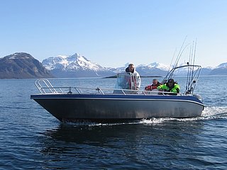 Ein Boot fährt auf dem River Shannon in Irland, umgeben von malerischen Bergen und klarem Wasser, ideal für einen Angelurlaub. Perfekt für Erholung und Abenteuer auf einem Angelhausboot.