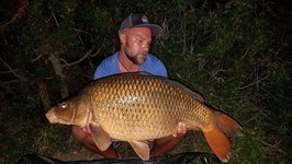 Ein Angler hält einen großen Karpfen vor einer Kulisse mit Büschen in der Nacht.