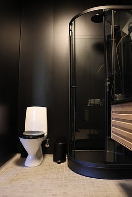 Modernes Badezimmer in Nordland, Norwegen: zeigt eine elegante schwarze Duschkabine und eine Toilette auf gefliestem Boden. Ideal für einen komfortablen Angelurlaub. Perfekte Mischung aus Stil und Funktionalität in skandinavischem Design.