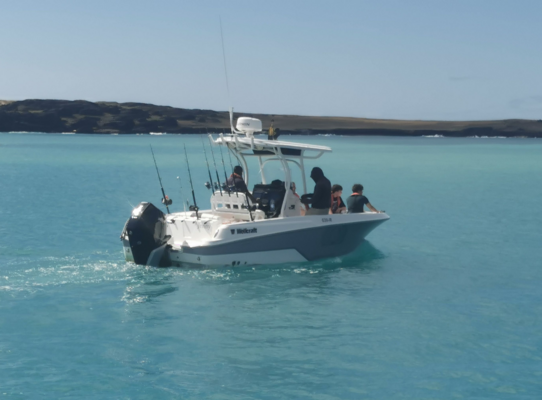 Ein Angelboot mit mehreren Personen fährt auf klarem, blauem Wasser vor der Küste Nord-Norwegens. Die Ausrüstung ist bereit für ein aufregendes Meeresangel-Abenteuer. Perfekte Bedingungen für Hobby- und Sportangler.