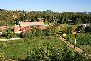 Ländliche Idylle in Nordland, Norwegen: Rote und Holzhäuser eingebettet in grüner Landschaft, umgeben von Wäldern. Ruhige Umgebung ohne Menschen. Perfekte Szenerie für Angelreisen und Naturerlebnisse.