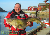 Ein Angler präsentiert stolz einen großen Kabeljau vor einer idyllischen Kulisse mit roten Häusern und einem ruhigen Meeresarm. Ein Angler präsentiert stolz einen großen Kabeljau vor einer idyllischen Kulisse mit roten Häusern und einem ruhigen Meeresarm.