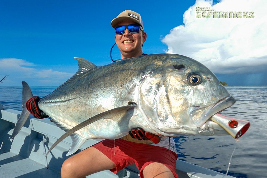 Eine Person auf einem Boot hält einen großen, silbernen Fisch, möglicherweise einen Riesen-Trevally, vor einem klaren, blauen Himmel und ruhigen Gewässer.