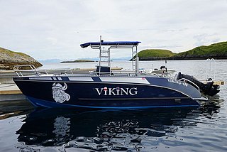 Angelboot „Viking“ in Hitra, Norwegen, liegt bereit in ruhiger, malerischer Küstenlandschaft. Perfekt für Angelreisen, umgeben von grün bewachsenen Inseln und blauem Wasser. Dein Abenteuer im Meer kann beginnen.