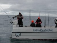 Eine Gruppe von Anglern in wetterfester Kleidung steht auf einem Boot mit der Aufschrift "Iceland Sea Angling", wobei eine Person einen großen Fisch in den Händen hält.