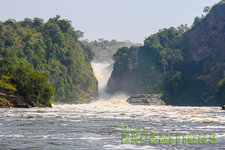 Kraftvoller Wasserfall, der durch eine üppig bewachsene Schlucht stürzt, umgeben von dichtem Grün. Kraftvoller Wasserfall, der durch eine üppig bewachsene Schlucht stürzt, umgeben von dichtem Grün.