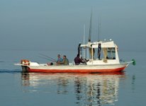 Ein kleines weißes Motorboot mit mehreren Personen beim Fischen auf einem ruhigen, blauen Meer.