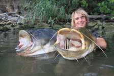 Ein Angler steht in einem Fluss und hält zwei riesige Welse, die mit offenem Maul aus dem Wasser ragen.