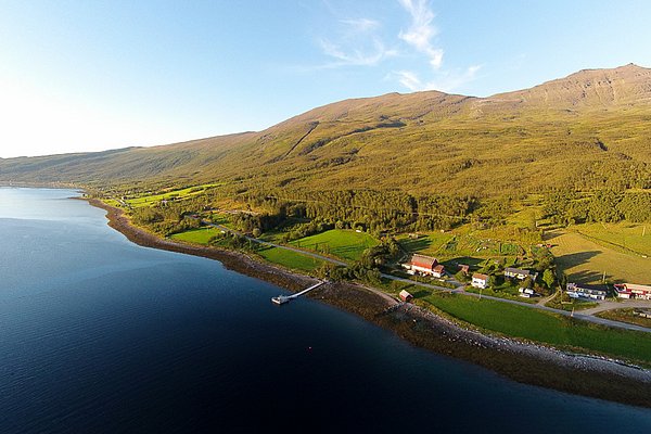 Luftaufnahme einer idyllischen Küstenlandschaft in Nord-Norwegen: blaues Meer, grüne Wiesen, verstreute Häuser und majestätische Berge im Hintergrund. Perfekt für Angelurlaub und Naturerlebnis.