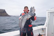 Ein Angler hält einen großen Seewolf auf einem Boot mit einer zerklüfteten Küste im Hintergrund.
