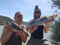 Zwei Personen posieren mit einem großen Zander und einem Barsch vor einer malerischen See- und Hügellandschaft.
