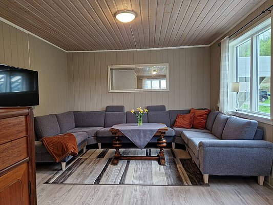 Gemütliches Wohnzimmer in Nordland, Norwegen, mit grauem Ecksofa, Holztisch, Teppich und Fensterblick ins Grüne. Perfekt für entspannte Abende nach einem erfolgreichen Angelausflug. Ideal für Angelreisen und Naturerlebnisse.