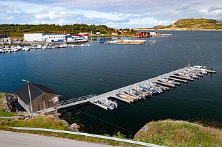 Küstenlandschaft in Südwest-Norwegen: Anlegesteg mit Booten auf ruhigem Wasser, umgeben von grünen Hügeln und bunten Gebäuden. Perfekter Startpunkt für Angelreisen und maritime Abenteuer in malerischer Umgebung.
