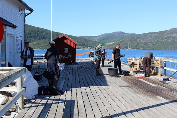 Angler auf einem hölzernen Steg in Nord-Norwegen bereiten ihre Ausrüstung vor. Klare Fjordlandschaft und sonniges Wetter laden zum Angeln ein. Ideal für Angelreisen und Meeresangeln in unberührter Natur.