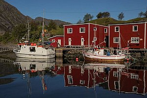 Idyllischer Hafen in Nordland, Norwegen mit traditionellen roten Fischerhütten und Booten im klaren Wasser, umgeben von grünen Hügeln und blauem Himmel. Perfekt für Angelreisen und Naturfotografie.