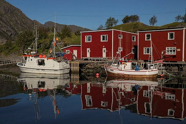 Idyllischer Hafen in Nordland, Norwegen mit traditionellen roten Fischerhütten und Booten im klaren Wasser, umgeben von grünen Hügeln und blauem Himmel. Perfekt für Angelreisen und Naturfotografie.
