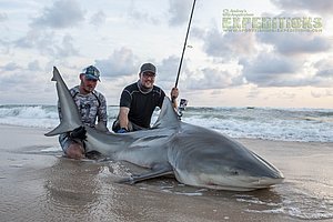 Zwei Männer posieren am Strand mit einem großen Hai, der teilweise im Wasser liegt, während im Hintergrund Wellen an die Küste schlagen. Zwei Männer posieren am Strand mit einem großen Hai, der teilweise im Wasser liegt, während im Hintergrund Wellen an die Küste schlagen.