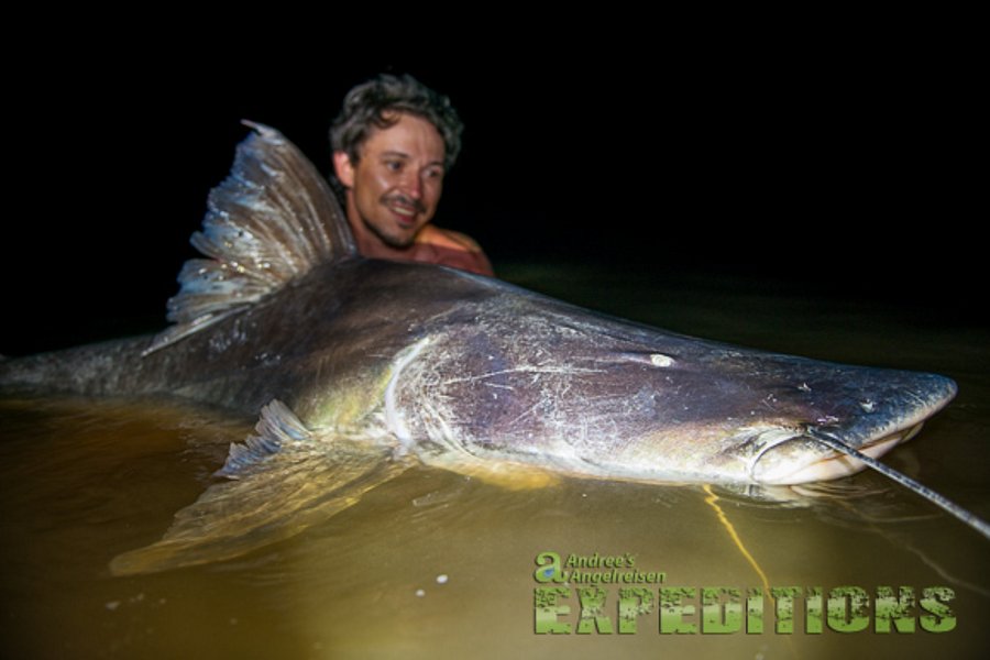 Angelreisen nach Einzelbuchungen - Monster Piraiba - Suriname