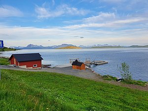 Küstenszene in Nord-Norwegen: Rotes Bootshaus, Holzhütte und Steg am ruhigen Fjord, mit majestätischen, schneebedeckten Bergen im Hintergrund. Perfekter Ort für Angelabenteuer und Naturerlebnisse. Blauer Himmel und grünes Gras schaffen eine idyllische Atmosphäre.