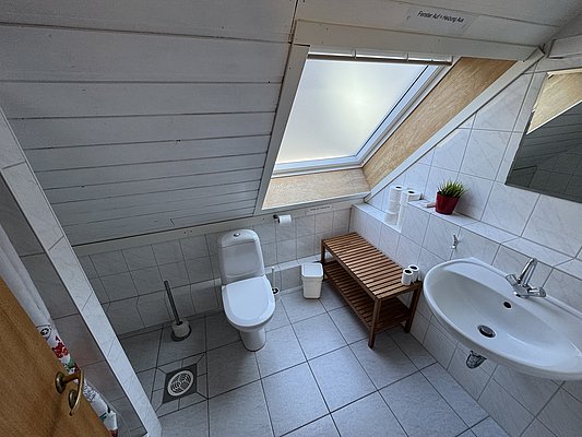 Helles Badezimmer in Hitra, Norwegen: Schrägdachfenster, weiße Fliesen, Waschbecken, Toilette, rollbarer Holzregal, grüner Pflanzendekor, Toilettenpapierhalter. Ideal für komfortablen Angelurlaub.