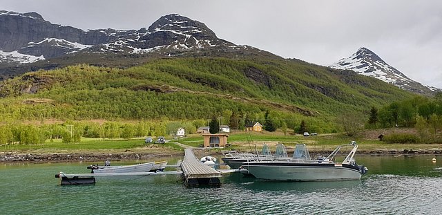 Kleiner Anlegesteg mit mehreren Booten auf klarem Wasser, umgeben von bewaldeten Hügeln und schneebedeckten Bergspitzen in Nordland, Norwegen. Perfekter Ausgangspunkt für Angelreisen und unvergessliche Naturerlebnisse.
