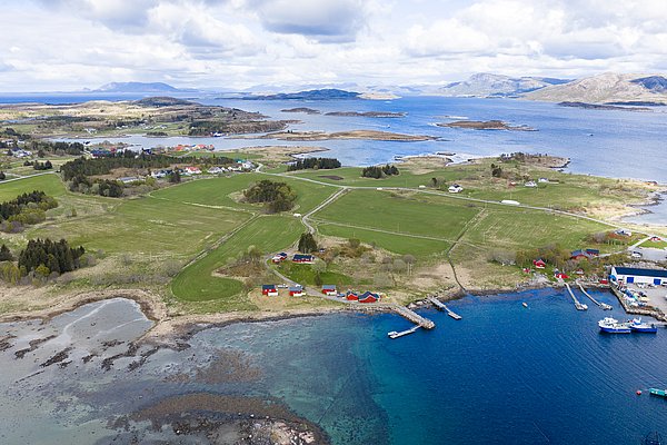 Luftaufnahme von Hitra, Norwegen: Malerische Küstenlandschaft mit grünen Wiesen, roten Fischerhäusern und tiefblauem Meer. Perfekt für Angelurlaube und Meeresangeln, umgeben von idyllischen Inseln und Fjorden. Entdecke die beeindruckende Naturvielfalt!