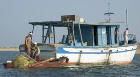 Ein Fischerboot mit mehreren Personen und Netzen auf einem Gewässer, während sie ihre Ausrüstung vorbereiten.