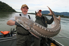 Zwei Männer halten einen großen Stör in einem Boot auf einem Fluss, umgeben von bewaldeten Bergen.