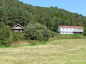 Zwei Häuser inmitten von üppigen Wäldern und weiten Wiesen auf der Insel Hitra, Norwegen, bieten Ruhe und Naturgenuss. Perfekt für einen Angelurlaub in malerischer Umgebung.
