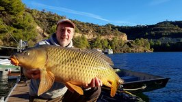 Ein Mann hält einen großen Karpfen vor einer malerischen Seelandschaft in der Sonne.