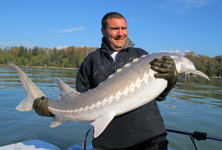 Ein Mann hält einen großen Stör auf einem Boot, mit einem Fluss und Bäumen im Hintergrund bei sonnigem Wetter.