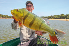 A young angler holds a large, colorful fish in a boat on a calm lake in Southwest Norway, surrounded by lush greenery and a clear sky, showcasing the region's rich fishing opportunities.