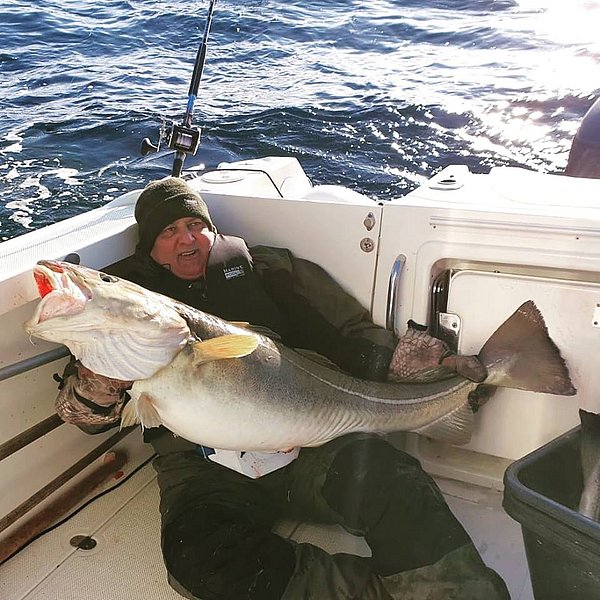 Ein Angler hält auf einem Boot einen großen Kabeljau vor einer welligen Meereskulisse.
