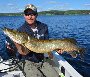 Das Bild zeigt einen Angler in Hälsingland, Schweden, der stolz einen großen Hecht auf einem Boot im klaren See präsentiert, umgeben von malerischer Natur und blauem Himmel. Perfekter Ort für einen Angelurlaub.
