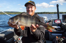 Ein Angler hält strahlend einen frisch gefangenen Barsch auf einem Boot vor einer malerischen Seelandschaft in die Kamera.