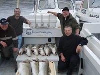 Vier Männer posieren auf einem Fischerboot der "Iceland Sea Angling", umgeben von mehreren gefangenen Kabeljau-Fischen.
