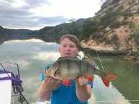 Eine Person hält einen großen Fisch, vermutlich einen Flussbarsch, vor einer malerischen Flusslandschaft mit bewaldeten Hügeln und ruhigem Wasser bei bewölktem Himmel.