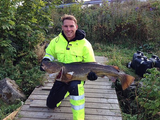 Ein Angler hält stolz einen großen Fisch in Hitra, Norwegen. Umgeben von üppiger Natur, symbolisiert das Bild die erfolgreiche Angelreise und eindrucksvolle Fänge dieser Region. Ideal für Meeresangeln-Abenteuer.