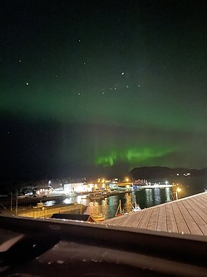 Aurora borealis leuchtet über einem malerischen Hafen in der Region Hitra, Norwegen. Eine beeindruckende Kombination aus Nordlichtern und Küstenlandschaft, ideal für Fotografen und Angelreisende. Entdecke Meeresangeln vor spektakulären Naturkulissen.