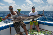 Zwei Angler posieren stolz mit einem großen gefangenen Marlin auf einem Boot im türkisblauen Wasser der Malediven. Der Himmel ist klar und sonnig. Perfekter Angelurlaub mit Abenteuer und beeindruckenden Fängen.