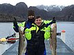 Zwei Angler auf einem Steg in Norwegen zeigen stolz ihren Fang: zwei große Kabeljau. Im Hintergrund beeindruckende Fjordlandschaft. Perfekter Angelurlaub in Hitra mit großartigen Fangmöglichkeiten und atemberaubender Natur.